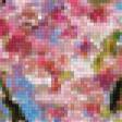 Предпросмотр схемы вышивки «абрикосы цветут» (№862906)