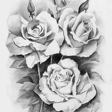 Оригинал схемы вышивки «розы» (№863620)