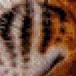 Предпросмотр схемы вышивки «тигрище» (№864852)