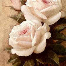 Оригинал схемы вышивки «розы» (№865166)