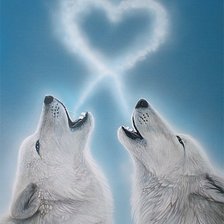 Схема вышивки «Волчья любовь»