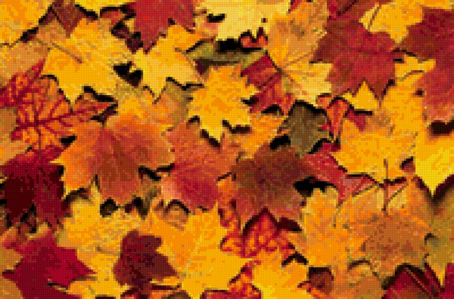 природная серия - природа, осень, листья - предпросмотр