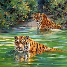 Схема вышивки «тигры купаются»