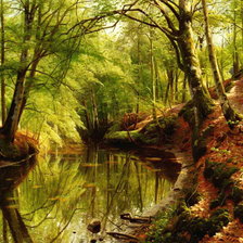 лесной пруд
