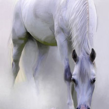 Схема вышивки «лошадь в тумане»
