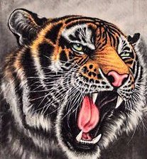 Оригинал схемы вышивки «триптих "тигры" ( картина №3)» (№888470)