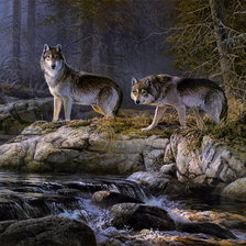 Оригинал схемы вышивки «пара волков у реки» (№888681)