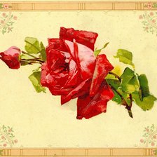 Оригинал схемы вышивки «панно с розой» (№888694)