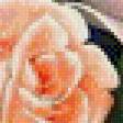 Предпросмотр схемы вышивки «Розы» (№898373)