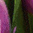 Предпросмотр схемы вышивки «полиптих- тюльпаны» (№902361)