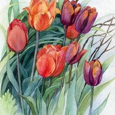 Схема вышивки «весенние тюльпаны»