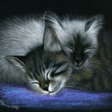 Схема вышивки «спящие котята»