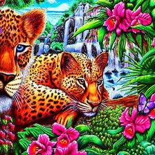 леопарды у водопада