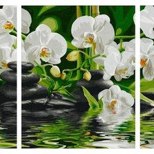 Схема вышивки «Орхидеи - триптих»