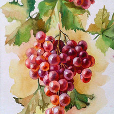 Оригинал схемы вышивки «гроздь сочного винограда» (№920042)