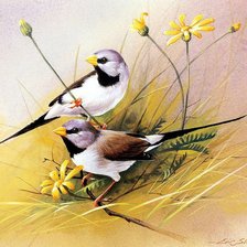 пара птиц в цветах