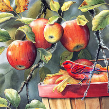 Схема вышивки «Птицы и яблоки»