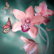 Оригинал схемы вышивки «Цветы и бабочки» (№922813)