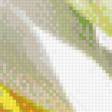 Предпросмотр схемы вышивки «каллы» (№924232)