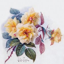 Схема вышивки «акварельные розы»