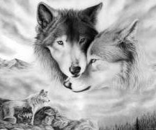 Схема вышивки «волчья верность»