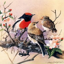 Схема вышивки «птицы на весеннем дереве»