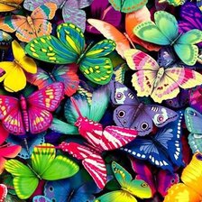 Много бабочек.