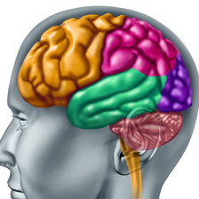 Схема вышивки «мозг3»