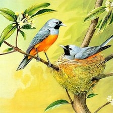 Оригинал схемы вышивки «птицы в гнезде» (№938141)