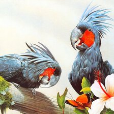 Оригинал схемы вышивки «попугаи» (№939285)