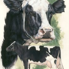 Схема вышивки «Голштинская Молочная Корова»