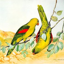 Схема вышивки «птицы на ветке»
