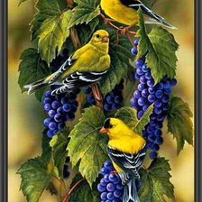 Схема вышивки «Птицы и виноград»