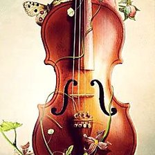 Схема вышивки «красота скрипки»