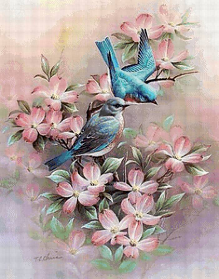 птички на цветущей ветке - ветка, любовь, птицы, нежность, цветы, пара, семья, сад - предпросмотр
