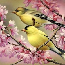 Оригинал схемы вышивки «пара птиц на цветущей ветке» (№950665)