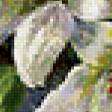 Предпросмотр схемы вышивки «букет белых лилий в вазе» (№951997)