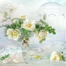 белые розы и альтанка