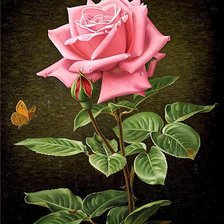 Оригинал схемы вышивки «Розовая роза.» (№955360)