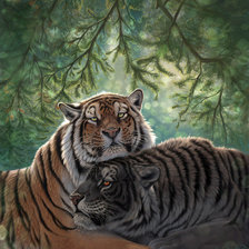Оригинал схемы вышивки «пара тигров» (№956664)