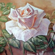 Оригинал схемы вышивки «красота розы» (№962655)