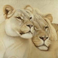 Оригинал схемы вышивки «пара львов» (№964075)