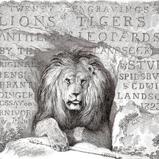 Схема вышивки «гравюра со львом»