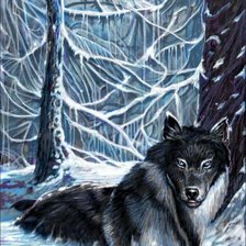 снежный волк
