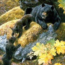Оригинал схемы вышивки «Медведи в осеннем лесу.» (№967541)