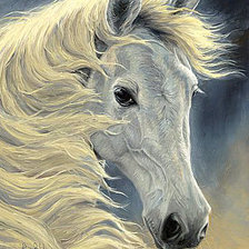 Оригинал схемы вышивки «Белая лошадь (для "Марирна")» (№972237)