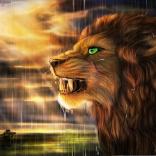 лев под дождём