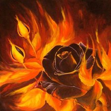 Схема вышивки «Серия " Огненая Роза"»