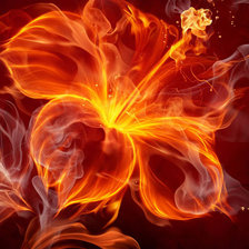 Оригинал схемы вышивки «Огненный цветок» (№983271)