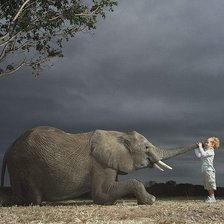 Мальчик и слон